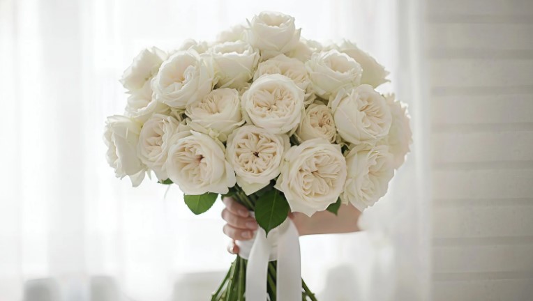 На що звернути увагу при виборі квітів для подарунка